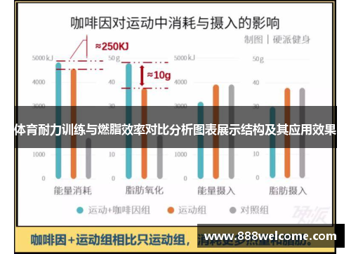 体育耐力训练与燃脂效率对比分析图表展示结构及其应用效果